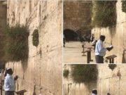 Is This Canaan?!!!Raila Odinga Photographed Standing in Jerusalem (Photos)