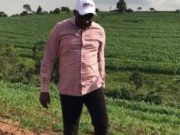 Duties, Powers and Functions of a Senator in Kenya
