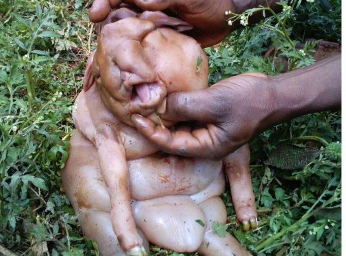 Is Johnson Sakaja a Luhya or Kalenjin.See Shocking Facts – Venas News