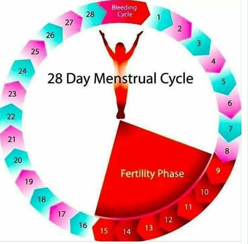 Safe Cycle Chart