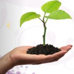 valentine cake house