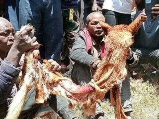 narok1