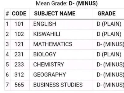 Summary of 2025 KCSE Result